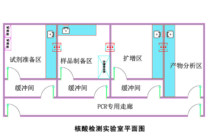 核酸检测j9游会真人游戏第一品牌建设